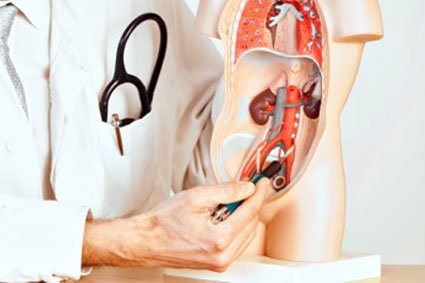 Best urology hospitals in Vijayawada,best urology doctors in Vijayawada,Best urology specialists in Vijayawada,best urology treatment hospitals in Vijayawada,Best paediatric urologists in Vijayawada,Best kidney Stone treatment in Vijayawada,Best prostate Gland treatment in Vijayawada,Best Laparoscopic Surgery in Vijayawada,Best Bladder Stone treatment in Vijayawada,Best Ureters Treatment in Vijayawada,Best Retrograde ureteral in Vijayawada,Best kidney transplantation in Vijayawada,Best prostatic hyperplasia Treatment in Vijayawada,Best Urologist in Vijayawada,Best Urinary Incontinence Treatment in Vijayawada,Best Gastroenterologists in Vijayawada,Best Gastroenterology hospitals in Vijayawada,Best Gastroenterology hospital in Vijayawada,Best gastroenterology treatment in Vijayawada,Best Gastroenteritis Treatment in Vijayawada,Best Hepatitis B Treatment in Vijayawada,Best Hernia Treatment in Vijayawada,Best Gallstones Treatment in Vijayawada,best neurosurgeon in Vijayawada,Best Brain tumor hospitals in Vijayawada,Best Stroke treatment in Vijayawada,Best Paralysis Treatment in Vijayawada,Best Rehabilitation Center in Vijayawada,Best Paediatric neurosurgery in Vijayawada,Best Neurovascular surgery in Vijayawada,Best Spine surgery in Vijayawada,Best Arthritis treatment in Vijayawada,Best Tumor removal in Vijayawada,Best Brain tumor treatment in Vijayawada,Best Neuro Surgery hospital in Vijayawada,Best neurology hospitals in Vijayawada,Best neurology doctors in Vijayawada,Best Neurologists in Vijayawada,best neurologist doctor in Vijayawada,Best Fits treatment in Vijayawada,Best Stroke Center in Vijayawada,Best Paralysis treatment in Vijayawada,Best Coma treatment center in Vijayawada,Best Migraine Hospital in Vijayawada,Best Spinal Card Injury Treatment in Vijayawada,best laparoscopic surgeon in Vijayawada,Best gall bladder stone removal surgery cost in Vijayawada,best general surgeon in Vijayawada,best gallbladder laparoscopic surgeon in Vijayawada,Best Advanced Laparoscopic and General Surgery in Vijayawada,Best Laparoscopic General Surgery in Vijayawada,best surgeon in Vijayawada,Top Laparoscopic surgeon Vijayawada,Best laparoscopic surgery hospitals in Vijayawada,Best Appendix Treatment in Vijayawada,Best Laparoscopic surgery in Vijayawada,Best Gallbladder microscope surgeons in Vijayawada,Advanced laparoscopic and general surgery hospitals in Vijayawada,Best General Surgery Hospitals in Vijayawada,best General Medicine Doctors in Vijayawada,Best General Physician Doctors in Vijayawada,Best General physicians in Vijayawada,Best General Medicine for Hypertension,Best Diabetologist in Vijayawada,Best Diabetics Hospital in Vijayawada,Best fever Hospital in Vijayawada,Best infections treatment in Vijayawada,Best Hypertension treatment in Vijayawada,Best thyroid treatment in Vijayawada,Best Hospitals for Pulmonology in Vijayawada,Best Pulmonologists in Vijayawada,Top Pulmonologists Doctors in Vijayawada,Best Pulmonology hospitals in Vijayawada,Best Asthma treatment in Vijayawada,Best Lung cancer treatment in Vijayawada,Best breathe easy treatment in Vijayawada,Best Asthma Specialist in Vijayawada,Best gynaecology hospitals in Vijayawada,Best gynaecology specialists in Vijayawada,best gynaecology hospitals in Vijayawada,Best obstetrics and gynaecology hospitals in Vijayawada,Best obstetrics and gynaecology doctors in Vijayawada,Best Uterine Bleeding treatments in Vijayawada,Best Painless Delivery Hospital in Vijayawada,Best High risk Pregnancy hospital in Vijayawada,best Orthopaedician in Vijayawada,best orthopaedic doctor in Vijayawada,Total Knee Replacement in Vijayawada,Best Knee Replacement surgery in Vijayawada,best Knee Replacement surgeon in Vijayawada,Hip Replacement in Vijayawada,Best joint replacement in Vijayawada,best Hip Replacement surgeon in Vijayawada,Best Fracture treatment in Vijayawada,Best injury treatments in Vijayawada,Best Arthritis treatment in Vijayawada,Best paediatrics specialists in Guntur,Best paediatrics physicians in Guntur,Best children’s paediatrics in Guntur,Best paediatrics and child health care hospitals in Guntur,Best general paediatrician in Guntur,best children’s hospitals in Guntur,Best Chest Specialists in Vijayawada,Best Chest physicians in Vijayawada,Best Chest Physician Hospitals in Vijayawada,Best pulmonologist doctors in Vijayawada,best lungs specialist in Vijayawada,Best lungs hospital in Vijayawada,Best asthma specialist in Vijayawada,Best ENT clinics in Vijayawada,best ent specialists in Vijayawada,best ENT doctors in Vijayawada,best ENT hospitals in Vijayawada,MICRO EAR SURGERIES in Vijayawada,Best SINUSITIS Treatments in Vijayawada,Best TONSILLITIS Treatments in Vijayawada,Best Hearing Loss Treatment in Vijayawada,Best Sore Throat Treatment in Vijayawada,Best Anaesthesiology Doctors in Vijayawada,Best Anaesthesiology Services for Surgery in Vijayawada,Best Anaesthesiology Critical Care in Vijayawada,Best Pain Management Doctors in Vijayawada,Best intensive care specialist in Vijayawada,best Accident & Emergency Hospitals in Vijayawada,Best Emergency Services Providers in Vijayawada,Best Emergency care in Vijayawada,Best Accident Injuries Treatment in Vijayawada,Best Skin Specialists in Vijayawada,Best Skin Care Clinics in Vijayawada,Best Dermatologist Doctors in Vijayawada,Best Radiologists in Vijayawada,Best Radiology Clinics in Vijayawada,Best radiology doctors in Vijayawada,Best female radiologist in Vijayawada,Best Dental Hospitals in Vijayawada,Best Dental Doctors in Vijayawada,Best Clip Treatment in Vijayawada,Best Orthodontist in Vijayawada,Best braces treatment in Vijayawada,Best Root Canal Treatment in Vijayawada,Best Dental Implant Center in Vijayawada,Best Dentist in Vijayawada,Best Gum diseases treatment in Vijayawada